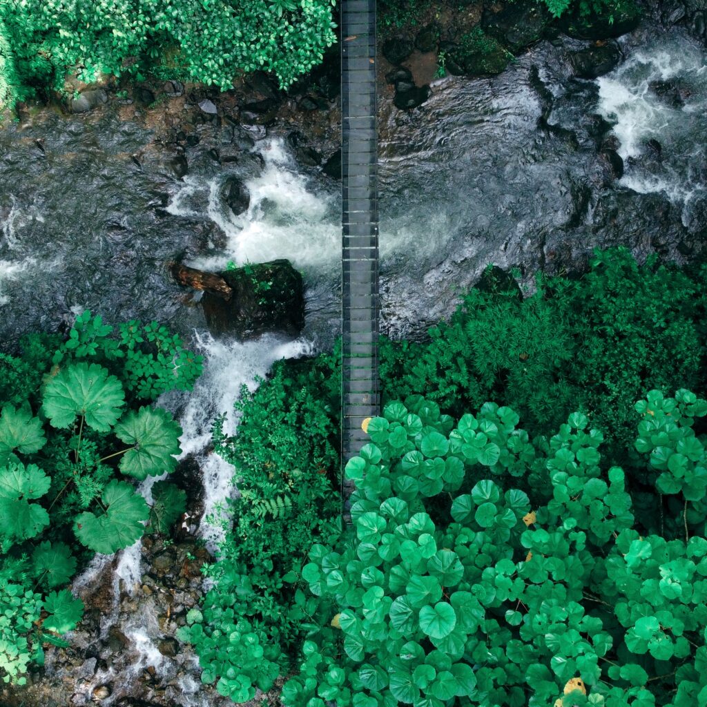 Drone Photography